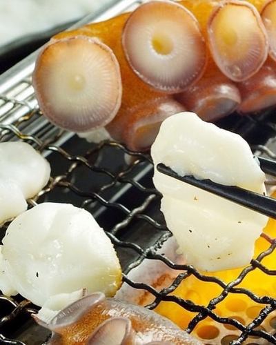 Various kinds of grilled live octopus/live octopus tempura