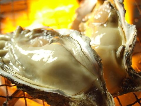 Akkeshi oysters