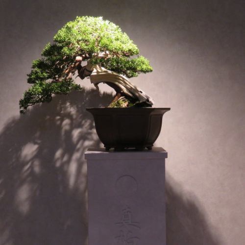 【2名様～個室完備】