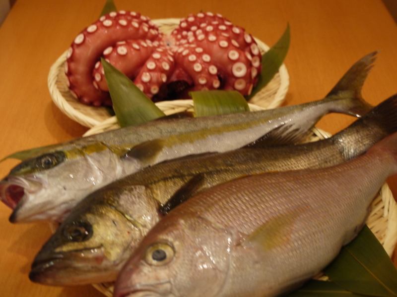 [Fresh] Fresh seafood sent directly from Tsukiji