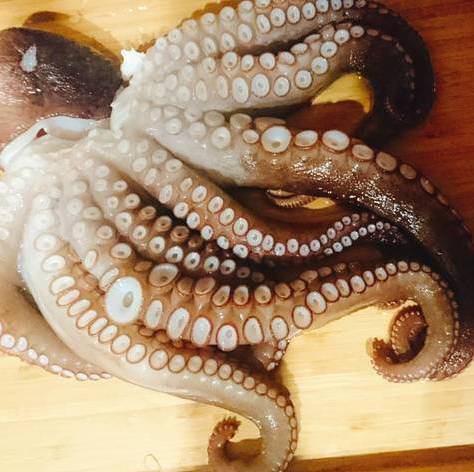 ≪一押し!!≫プリプリ明石タコをさっぱりと！歯ごたえが楽しい爽快な逸品「生たこねぎポン酢」