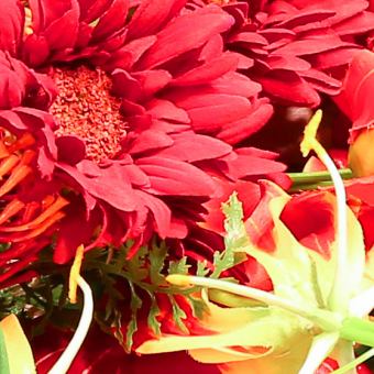 BIG花束★写真撮影のお供に！