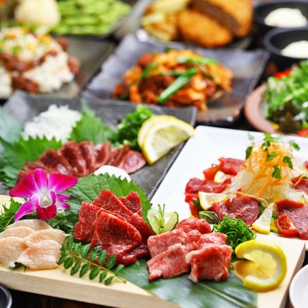 【プレミアム食べ飲み放題】国産生馬刺し盛×馬刺・馬肉料理2時間食べ飲み放題【国産馬刺し付】