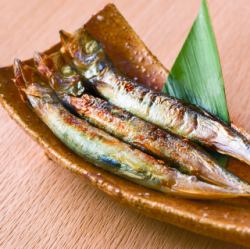 Sakhalin Shishamo