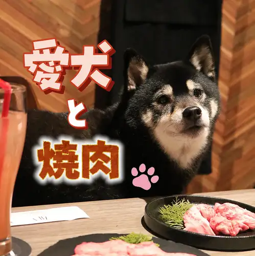 ペットと一緒に焼肉!