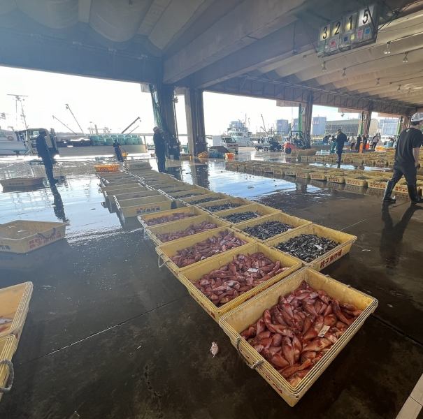 海鮮炉端いろりのメインとなる囲炉裏を囲むように配置されている、木を基調としたカウンター席。目の前で魚介や野菜串巻きが焼きあがっていくライブ感を感じたり、火を見つめながらうっとりとした気分を味わえます。デート・普段使い・上質なものを食べたい日・会社帰りの飲み会・ファミリーでなど幅広いシーンでどうぞ。