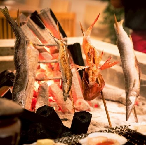 【铫子渔港】新鲜鱼直送