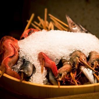 伊洛里豪華課程