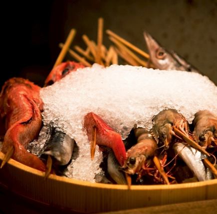 伊洛里豪華課程