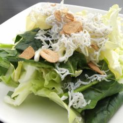 Spring cabbage and whitebait salad