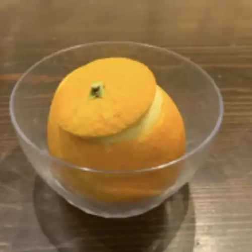 Orange sorbet