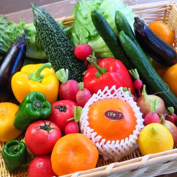 Fresh vegetables purchased from Toyosu◎