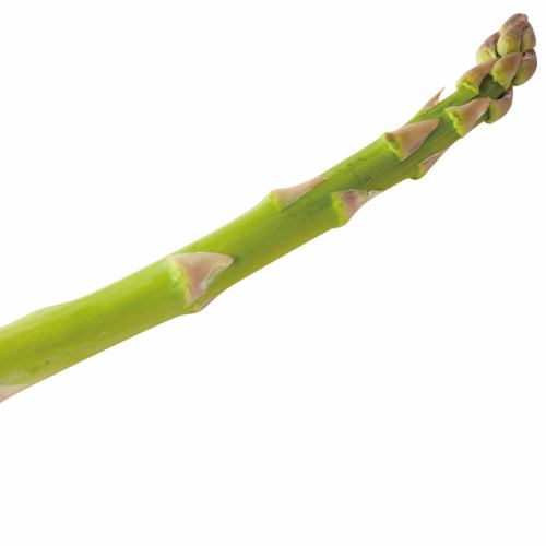 Asparagus