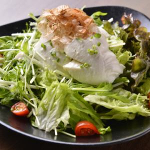 Spicy sesame salad with tofu flavored with bonito flakes