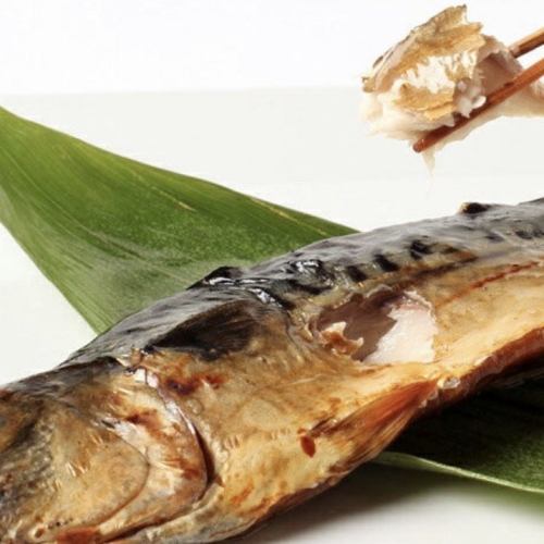 Koshida brand dried mackerel