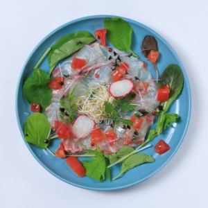 和歌山鮮魚のカルパッチョ