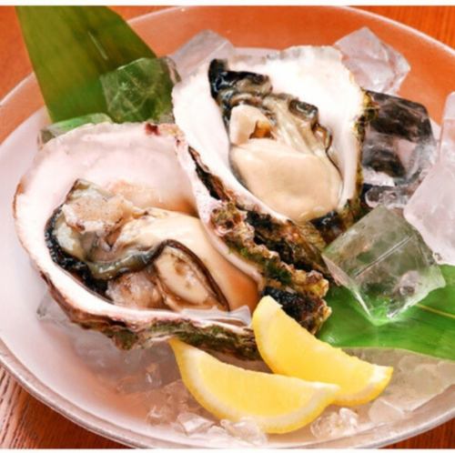 【季節のフレッシュオイスター】岩牡蠣・真牡蠣