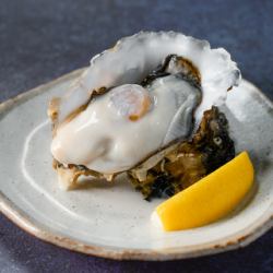 生牡蠣 (産地は日替わり!)