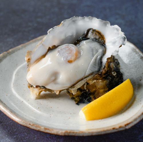 生牡蠣 (産地は日替わり！)