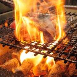 Kyoto Red Chicken Thigh Meat