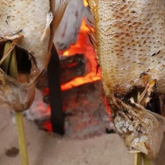 【極】喉黒・松阪牛・紅ずわい蟹・桜鯛等いろり焼き5種と蛍烏賊と春野菜炊合わせなど～全10品～