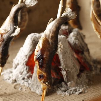 【吟麗】山女魚・信州牛・桜鯛等いろり焼き5種と鮮魚三種盛りなど～全9品～