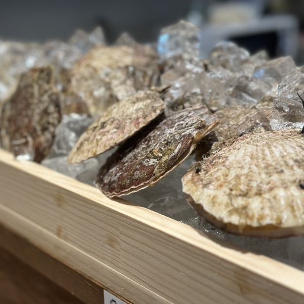 海鮮は特に鮮度にこだわっているため「生牡蠣」がまさに絶品。