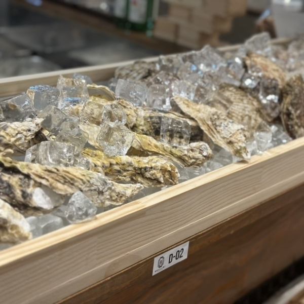 週末はカウンター席の前には新鮮な牡蠣がずらりと並びます♪思わず注文したくなる採れたての鮮度抜群の牡蠣を目の前で見ながら、お酒に合うお料理とお酒で仲の良い友人と楽しい時間をお過ごしください