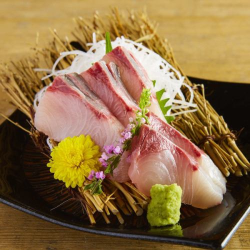 Special selection Amberjack sashimi