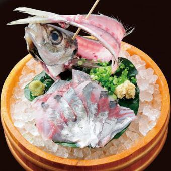 Horse mackerel sashimi