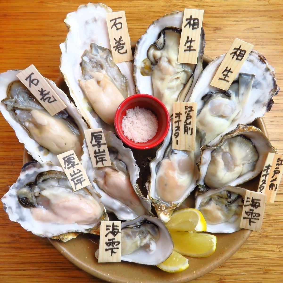貸切のご相談承ります！美味しい海鮮をお楽しみ下さい。