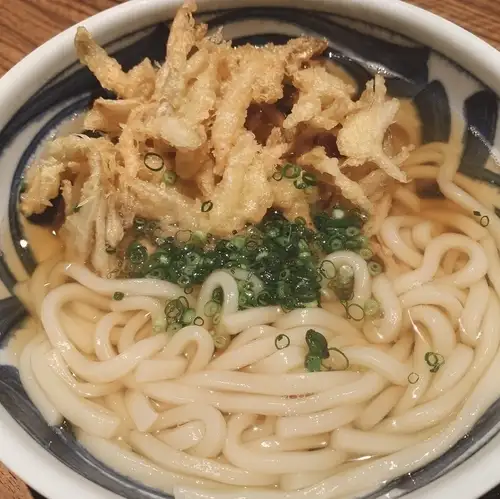 博多肉ごぼう天うどん