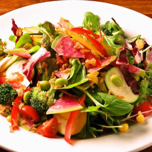 Body HAPPY !! 15 items of green salad