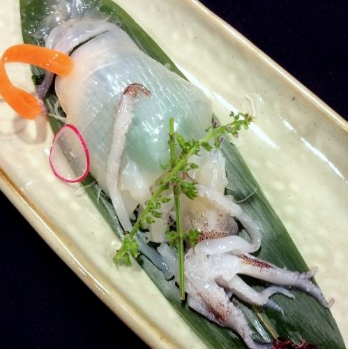 Freshly caught squid figure (Maruika ☆ Squid etc.)