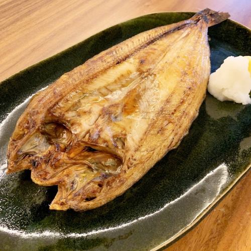 Oversized Atka mackerel