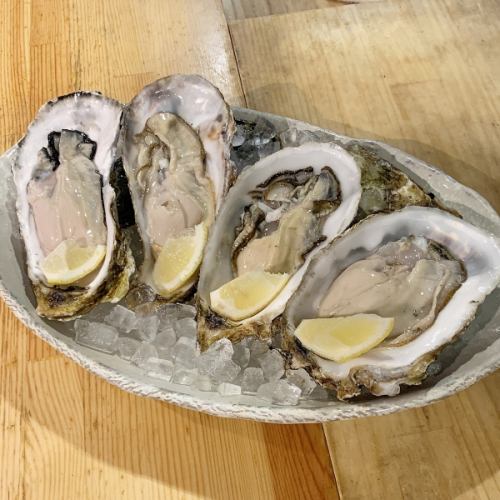 seasonal oysters