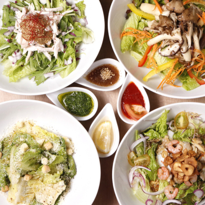 [Vegetarian Pub Specializing in Lettuce Dishes] Enjoy healthy dishes in a clean and inviting atmosphere!