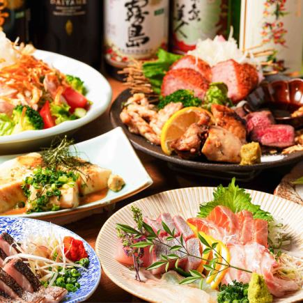 【하나비 2026 봄 코스】 생선회 5종 & 봄 야채 튀김 & 고기 모듬 4종 등 총 8품+2h 음방 포함(생맥주 ok)