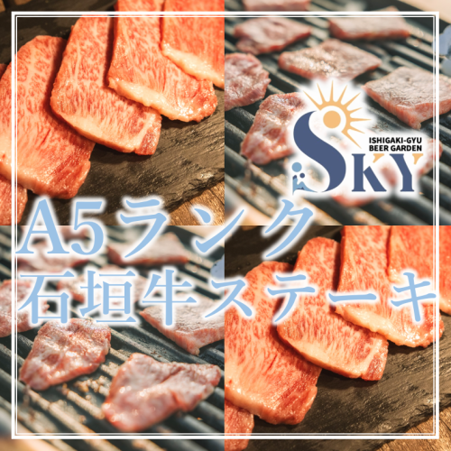 【数量限定！】石垣牛 内モモステーキ