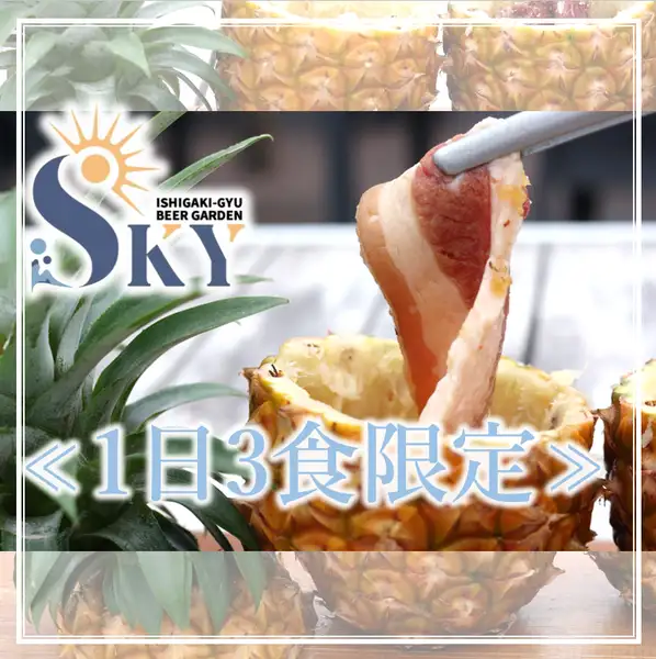 ≪注文必須≫【1日3食限定】石垣産パイン壺漬けカルビ/ハラミ