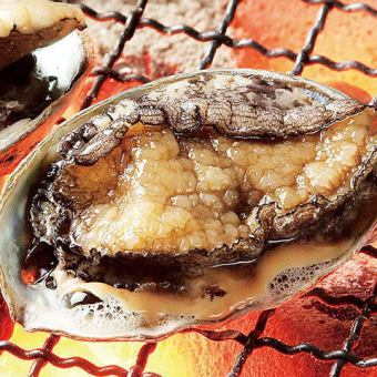 1 live grilled abalone