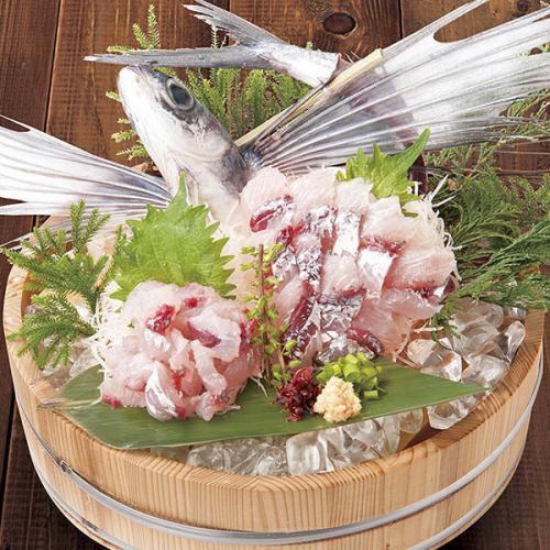 飛魚，整條魚