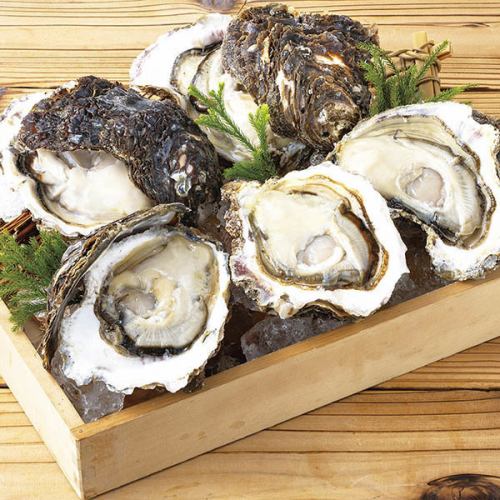 岩牡蠣　1個
