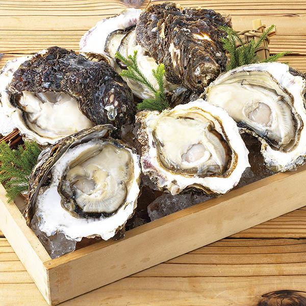 8月限定！〈旬〉夏の味覚