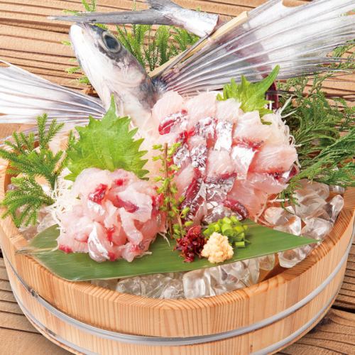 飛魚 姿造り（刺身・たたき）