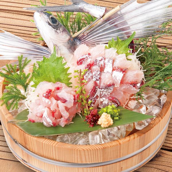 6月限定！〈旬〉夏の美味！
