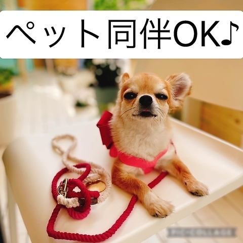 ◇水曜日限定！ペット可◇