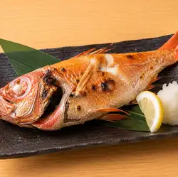 황금 눈 도미