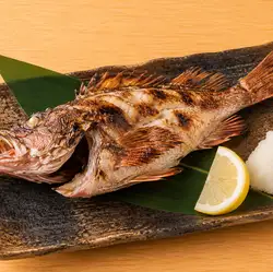카사고