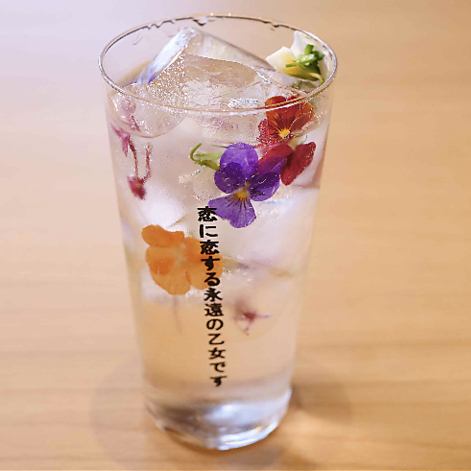 25 kinds of colorful and colorful gin and tonic